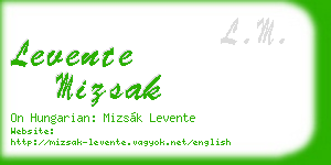 levente mizsak business card